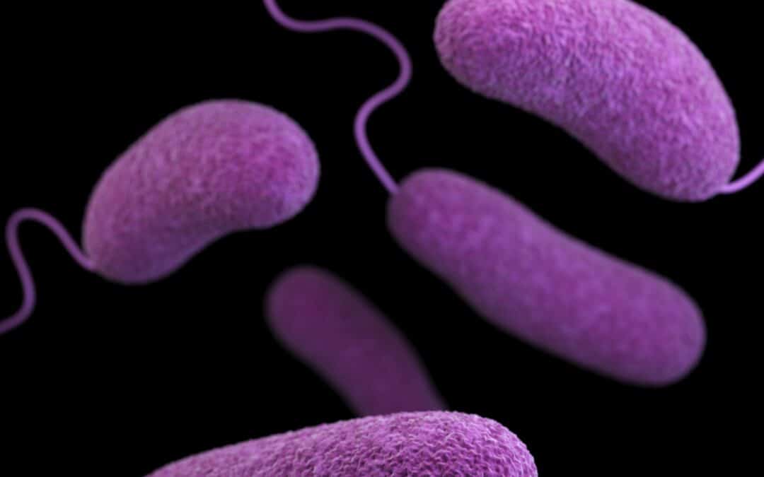 SIBO and Autoimmune Diseases