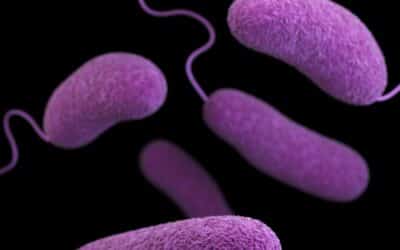SIBO and Autoimmune Diseases
