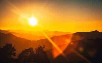 The Vitamin D & Autoimmune Connection