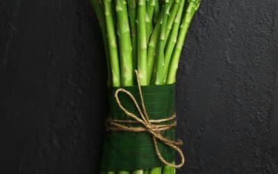 Why You Need to Eat Prebiotic Fiber