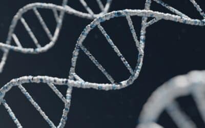 Epigenetics & Autoimmunity